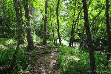 How to hike Sendero Molino del Corcho in Sierra Norte de Sevilla